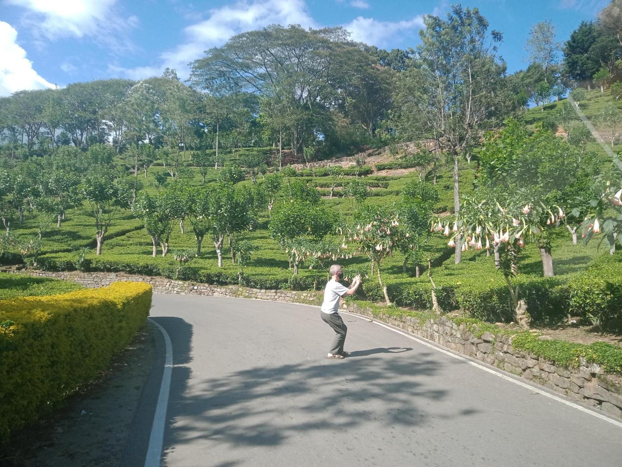 Princess Of Dickoya Homestay 하톤 객실 사진